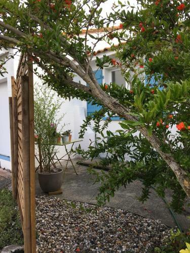 Apartamento Studio L'ermitage