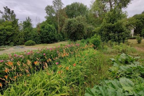 Uw Eigen Boerderij Bij Le Moulin De La Place