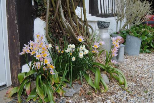 Bed & Breakfast Chambre D'hotes Murielle