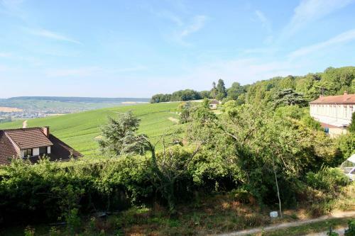 Le Sarment - Hautvillers