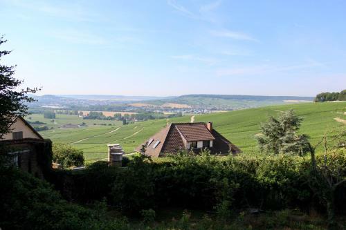 Le Sarment - Hautvillers