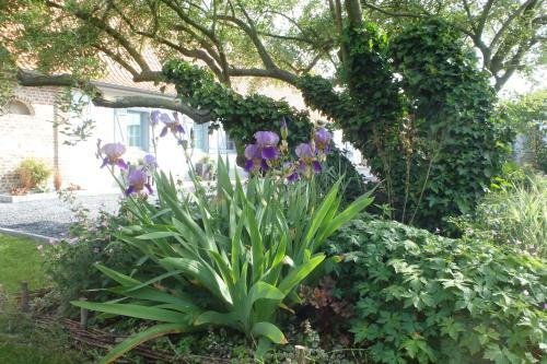 Bed & Breakfast Au R�ve En Somme