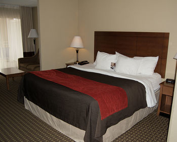 Hotel Comfort Inn & Suites Raphine