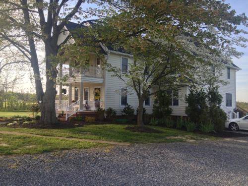 Ma Margarets House Bed And Breakfast