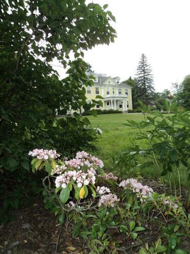 Bed & Breakfast Governor's House In Hyde Park