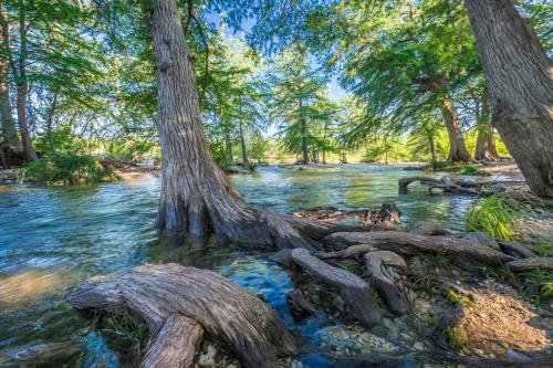 River Bluff Cabins