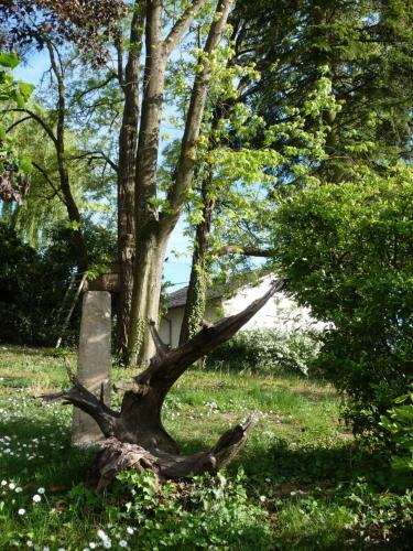 G�te D'ma�sala Les M�sanges