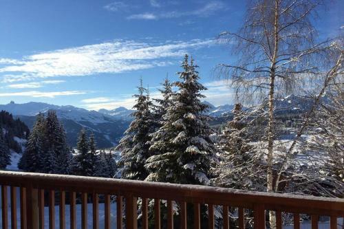 Chalet Cocoa