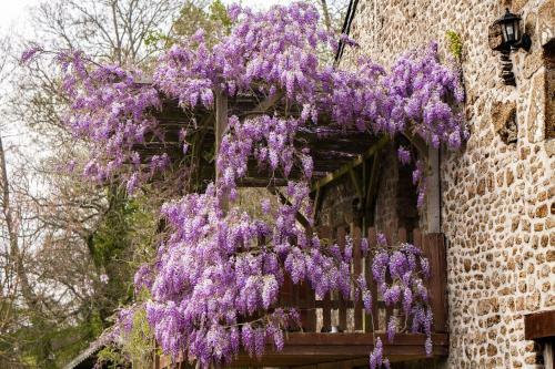 Bed & Breakfast Les Quatre Si�cles