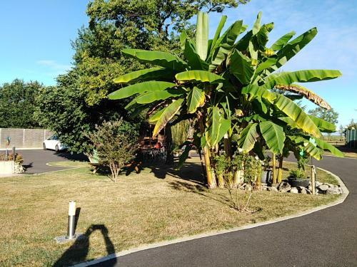 Bed & Breakfast Au Petit P�degouaty
