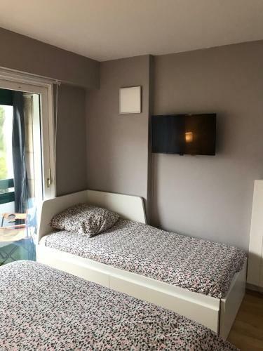 Apartamentos Ibaia Sokoburu Dream