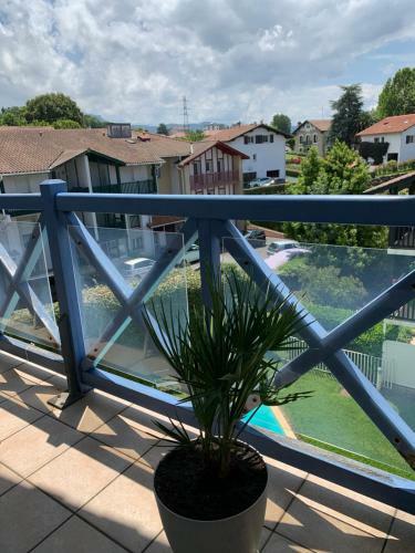 Apartamento Les Hauts De Biantenia Avec Wifi