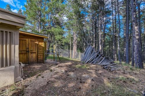 Palace In The Pines