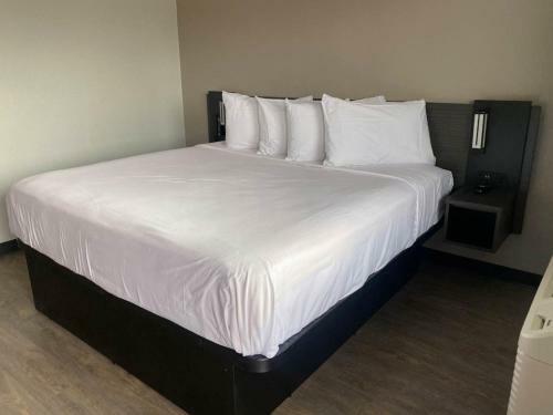 Hotel Albuquerque, Nm - Midtown
