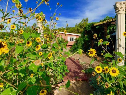 The Chi-treehouse At Sunny Mellow Eco Villa