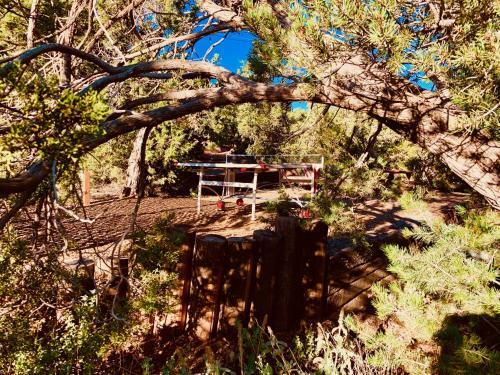 The Yoga Yurta At Sunny Mellow Eco Villa