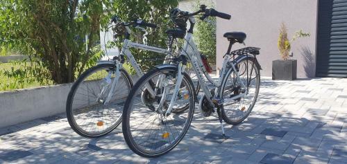 Apartamento Les Aliz�s