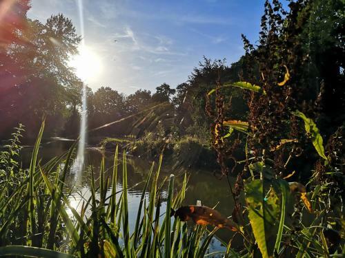 G�te De L'etang Pr�sent