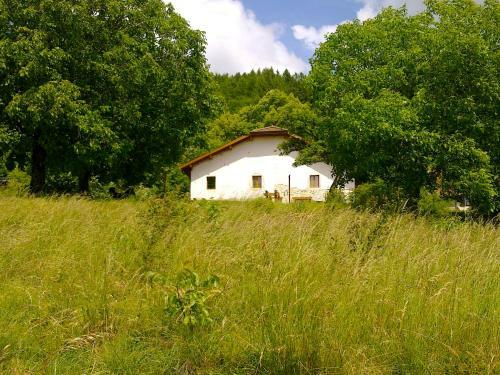 Bed & Breakfast Chez Louve Bleue