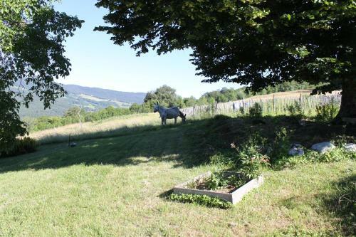 Bed & Breakfast Chez Louve Bleue