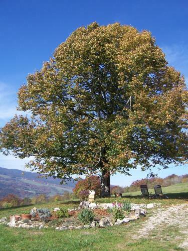 Bed & Breakfast Chez Louve Bleue