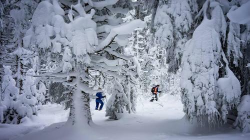 Gite Am�lie, Sauna, Spa Au Coeur Des Vosges