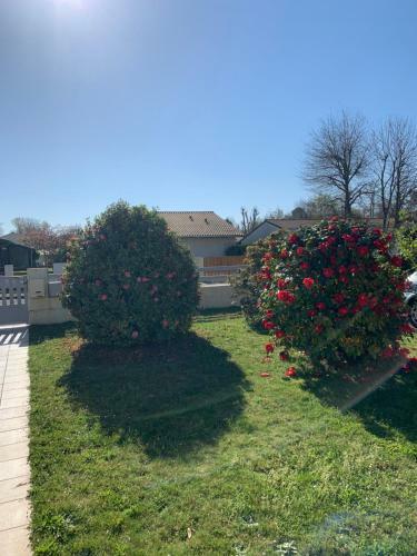 Apartamento T2 Dans Un Cadre Apaisant