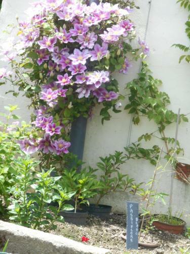 Bed & Breakfast La Mare Aux F�es