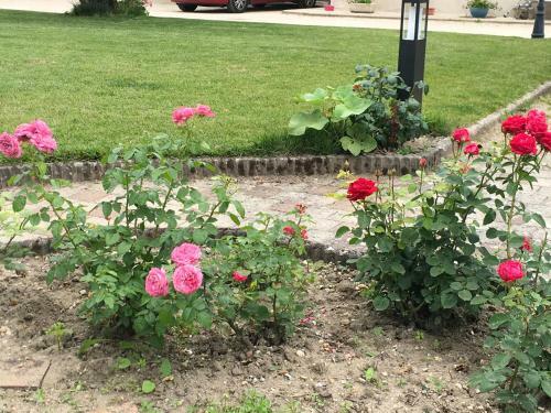 Bed & Breakfast Manoir Le Bout Du Pont