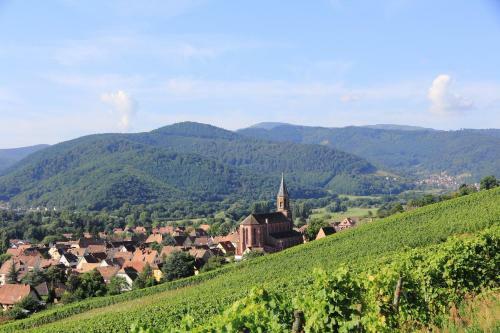 Clos Des Vignes