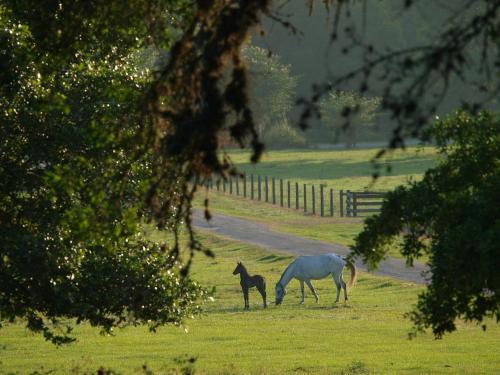 Blisswood Bed And Breakfast Ranch