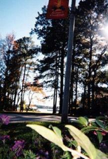 Motel Best Western Lake Conroe