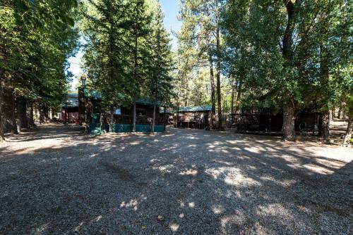 Apartamento Cozy Bear 4, Studio, Fireplace, Downtown, Sleeps 4