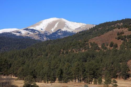 Apartamento Cozy Bear 4, Studio, Fireplace, Downtown, Sleeps 4