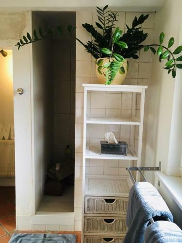 Hostal Le Rez De Jardin