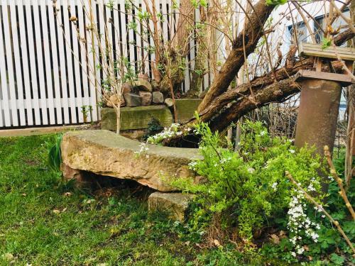 Hostal Le Rez De Jardin
