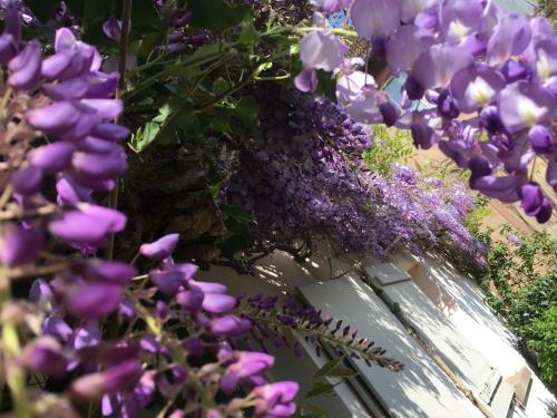 Hostal Le Rez De Jardin