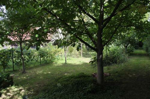Chez Salome Et Fritz