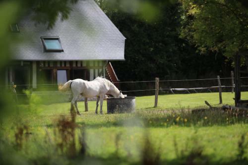 Bed & Breakfast La Pomme D'amour