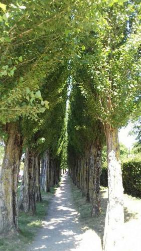 Apartamento R�sidence Des Impressionnistes