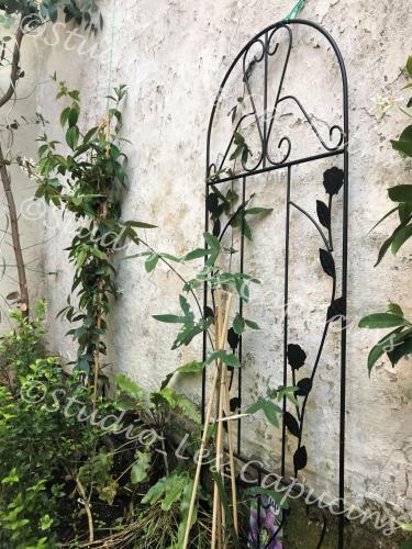 Apartamento Les Capucins - Studio Cosy - Cour Privative - Wifi