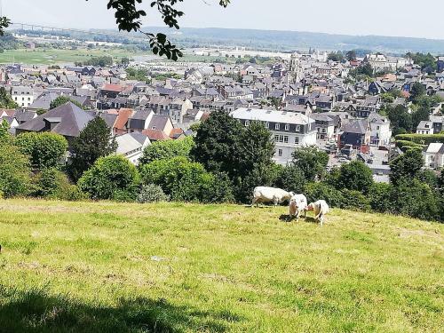 Apartamentos Honfleur-loft Avec Parking Priv�