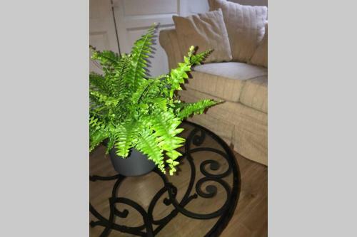 Apartamento La P'tite Grise - Studio Cosy Centre Honfleur