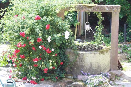 Bed & Breakfast La Grange Aux Coqs