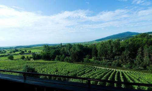 Hotel H�tel Arnold