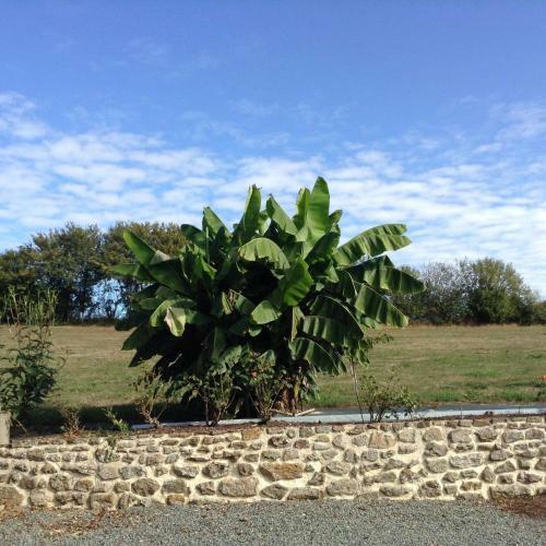 Apartamento Gite Chouchou