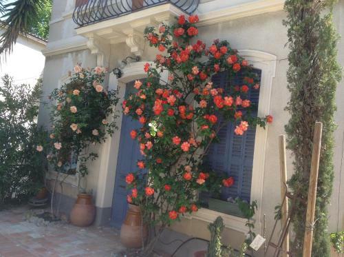 Hostal A L'ombre Du Cedre