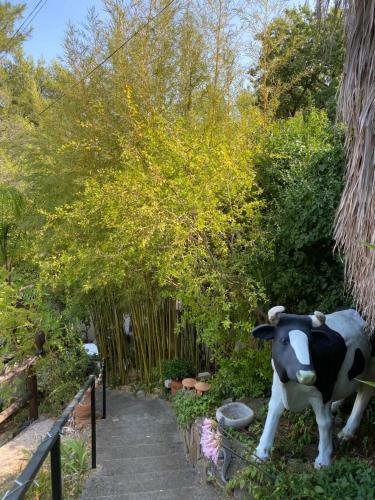 Apartamento Studio Grotte Des F�es