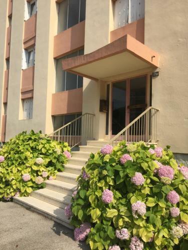 Apartamento L'oustau de Hyeres-vue Sur Les Iles