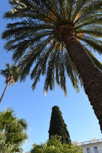 Apartamento L'oustau de Hyeres-vue Sur Les Iles
